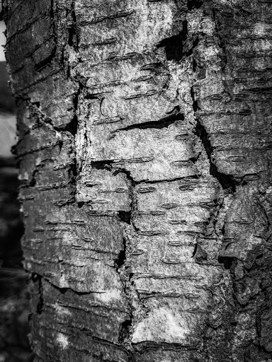 Wedding Venue «Highlands Country Club», reviews and photos, 955 NY-9D, Garrison, NY 10524, USA