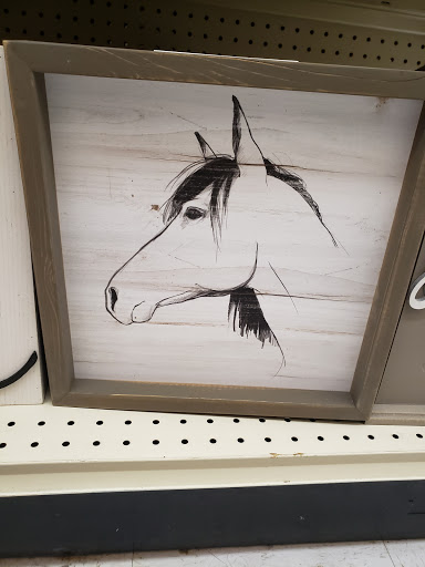 Discount Store «Big Lots», reviews and photos, 843 W Bloomingdale Ave, Brandon, FL 33511, USA