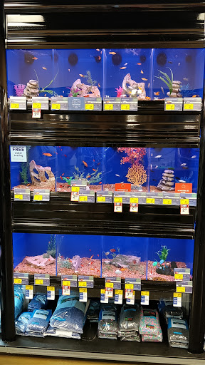 Pet Supply Store «PetSmart», reviews and photos, 2300 Gary Farm Blvd #600, Bowling Green, KY 42104, USA