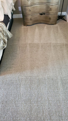Steam Pros Carpet Cleaning