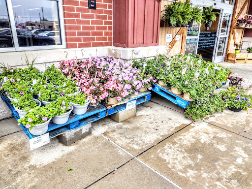 Grocery Store «Fresh Thyme Farmers Market- Fairview Heights», reviews and photos, 6569 N Illinois St, Fairview Heights, IL 62208, USA