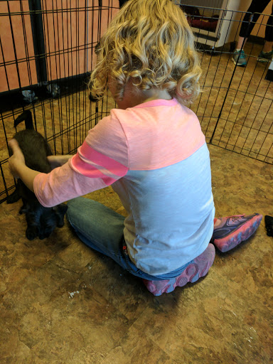 Pet Supply Store «Just Pets», reviews and photos, 8874 Maximus Dr, Lone Tree, CO 80124, USA