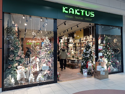 Кактус - магазин сувениров и подарков