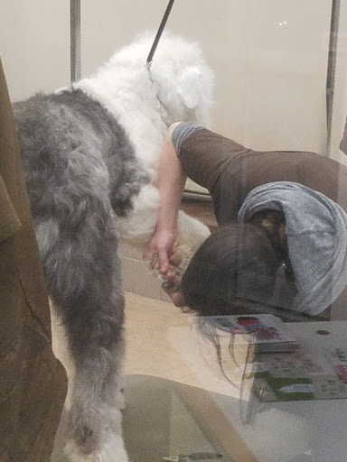 Pet Supply Store «Petco Animal Supplies», reviews and photos, 86 Storrs Rd, Mansfield Center, CT 06250, USA