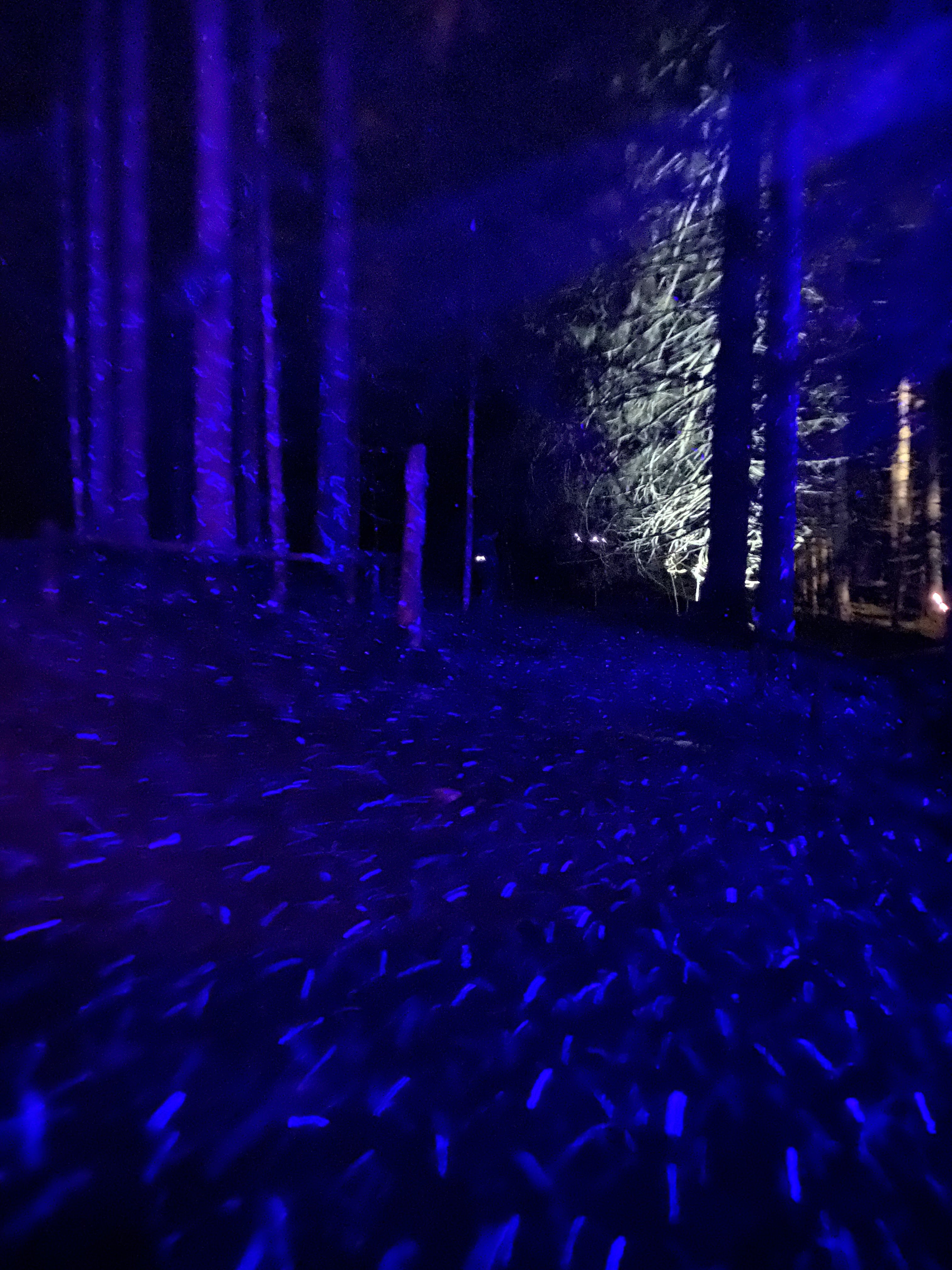 Photo n° 1 de l'avis de Cécilia.A fait le 17/03/2024 à 22:23