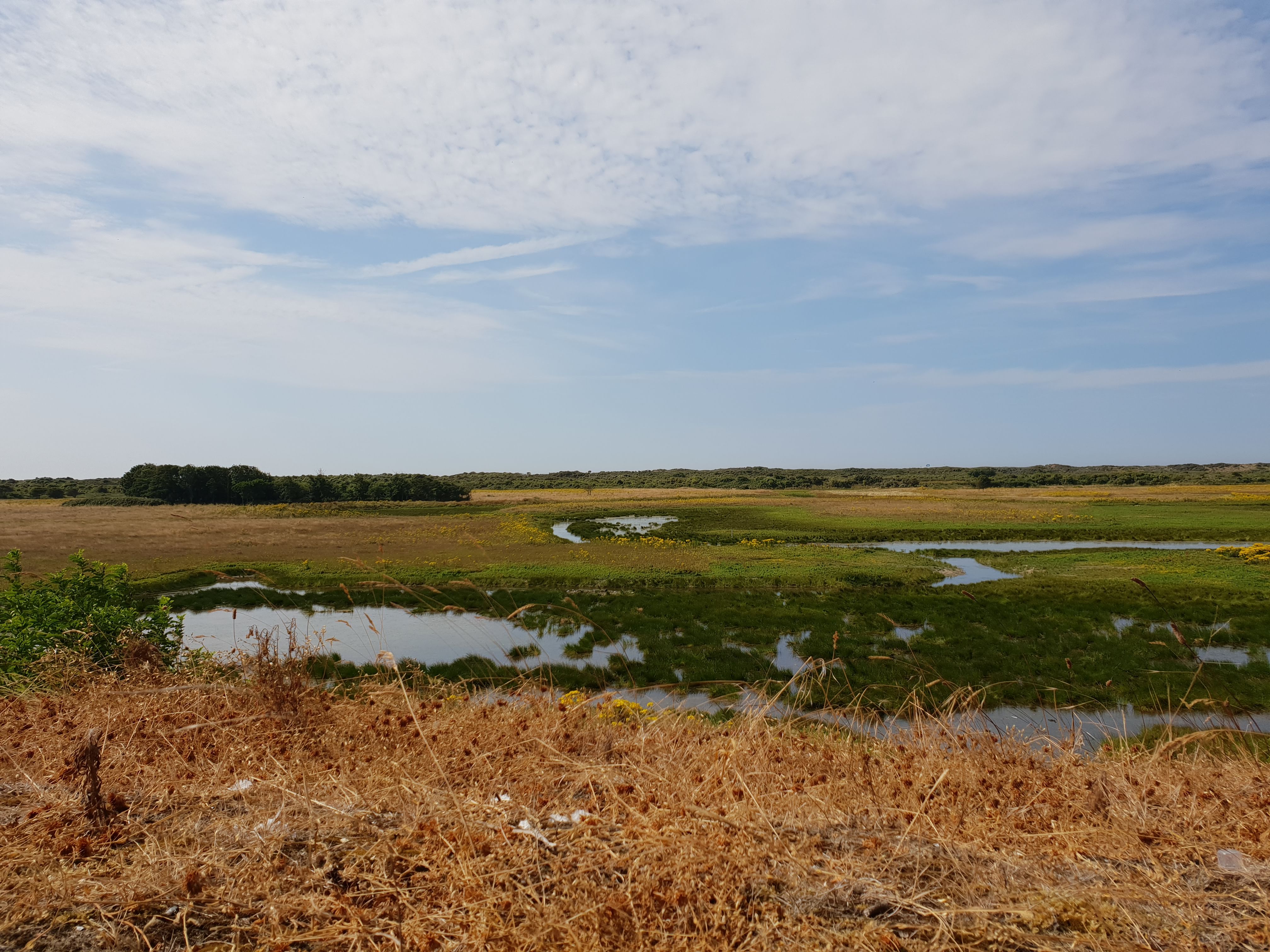 Photo n° 1 de l'avis de Birgit.. fait le 21/07/2018 à 05:29