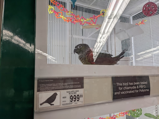 Shopping Mall «Warrenton Village Center», reviews and photos, 251 Lee Hwy, Warrenton, VA 20186, USA