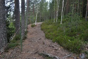 Lake Kalliojärvi Circle Trail image