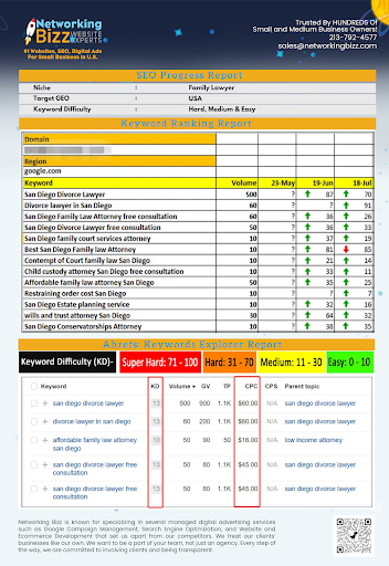 SEO Web Design Arcadia - Networking Bizz image