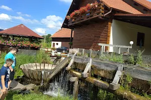 Water mill Bologa image