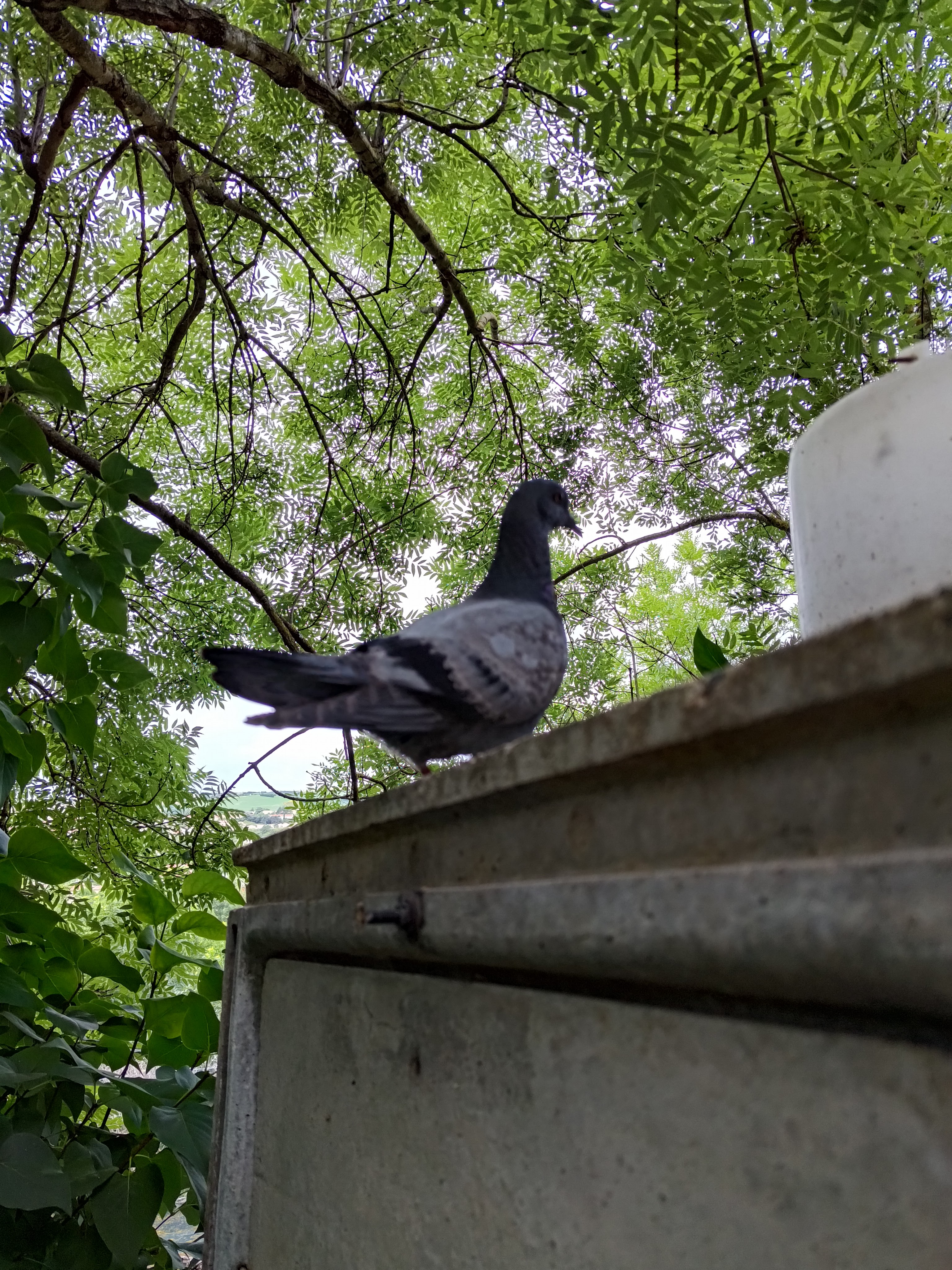 Photo n° 4 de l'avis de Narco.e fait le 15/07/2023 à 17:21