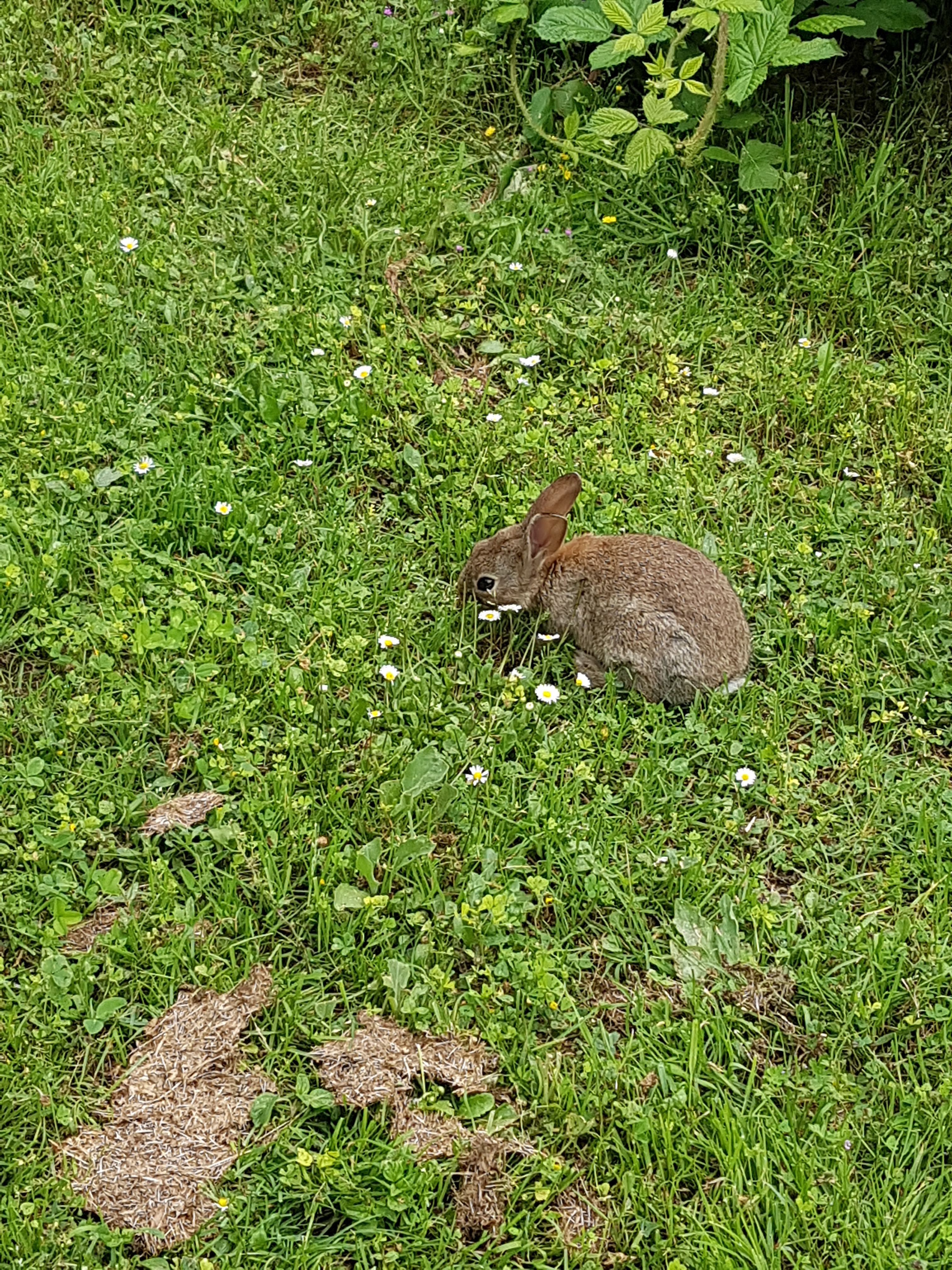 Photo n° 4 de l'avis de Iwanttoliveintheuk. fait le 12/06/2018 à 10:50