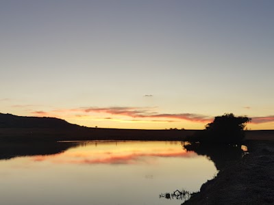 Photos of Witkop Safaris