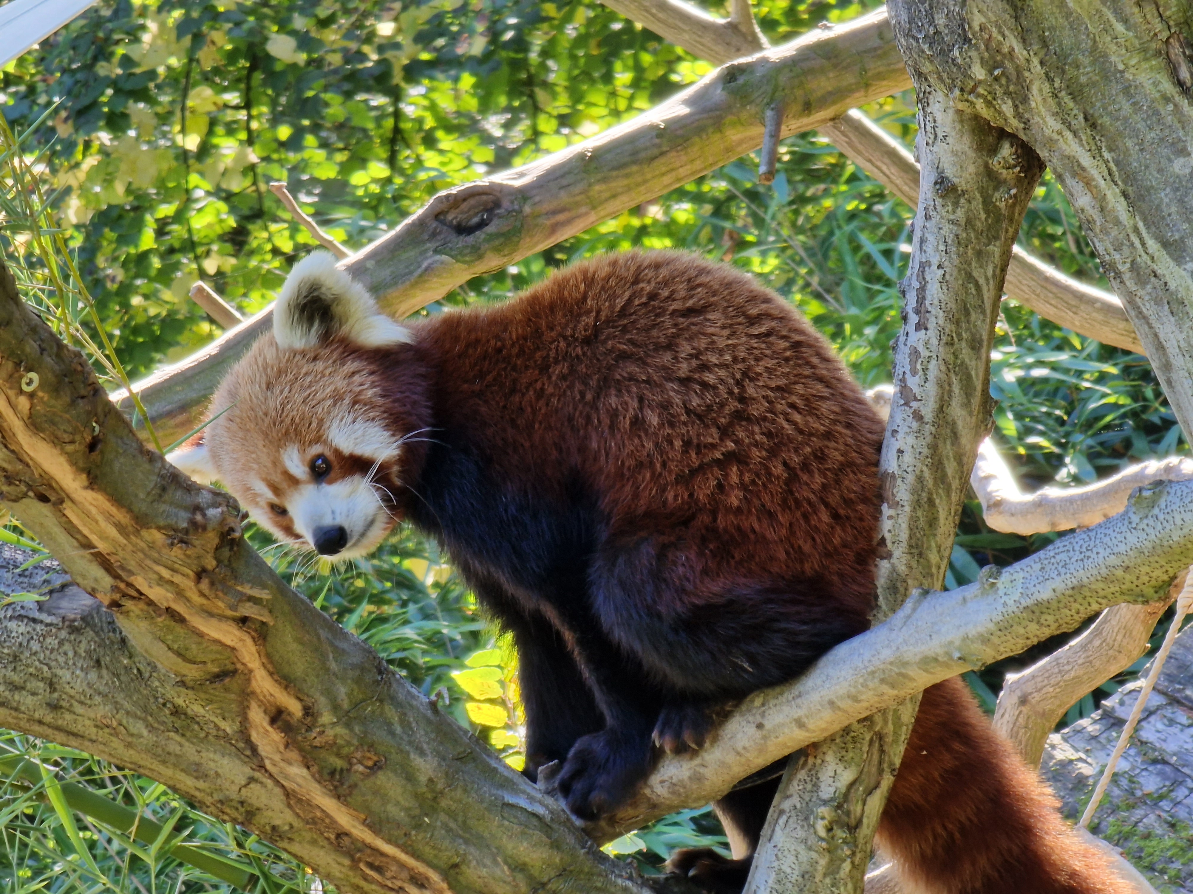 Photo n° 7 de l'avis de Brice.s fait le 19/10/2022 à 16:34