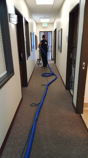 Super Mario Carpet Cleaning & Floor Care