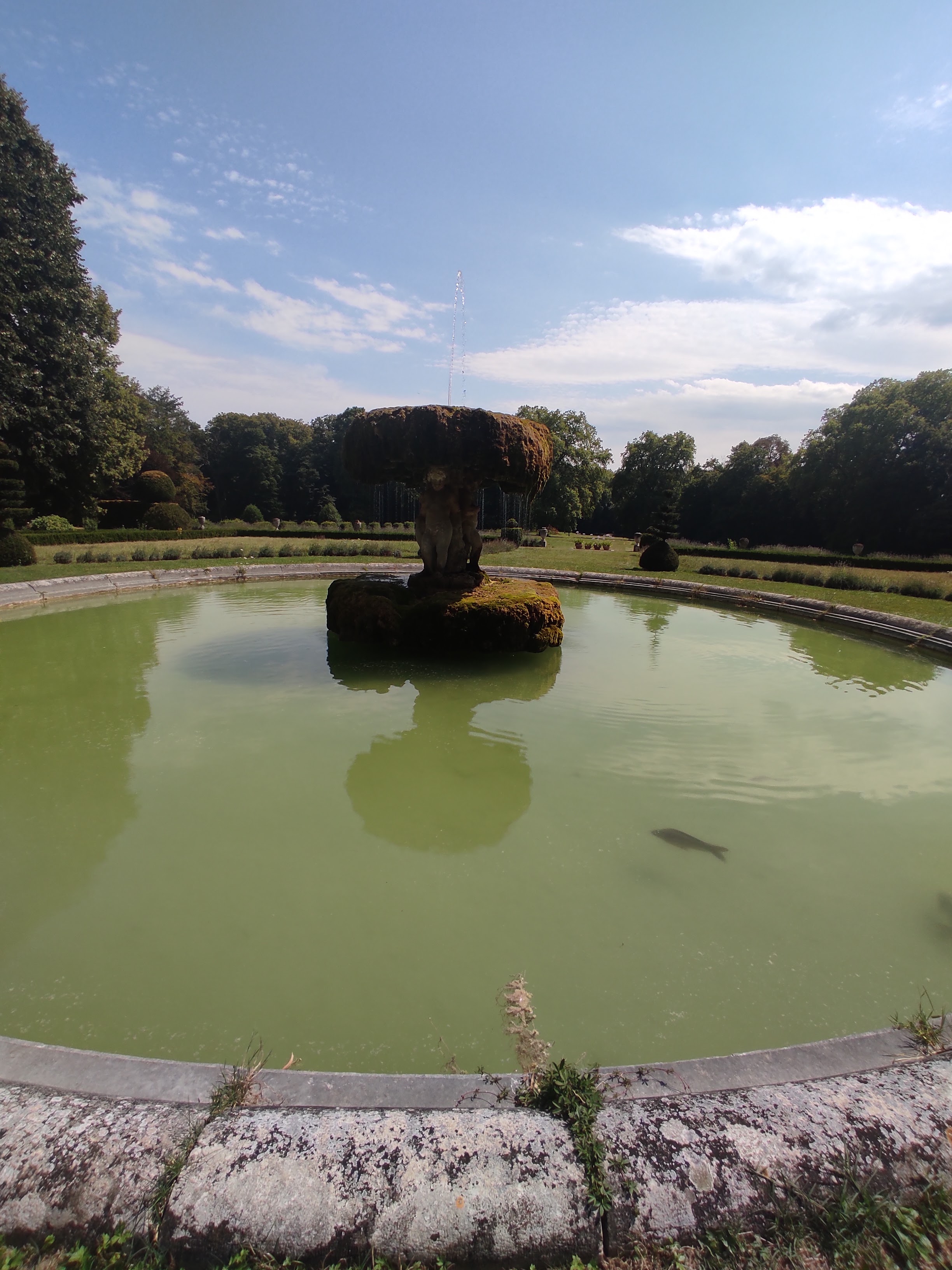 Photo n° 2 de l'avis de celine. fait le 28/07/2022 à 16:21