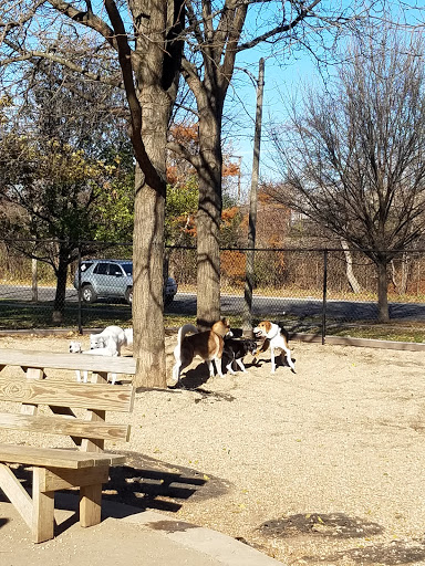 Dog Park «Norwood Park Dog Friendly Area», reviews and photos, 5850 N Avondale Ave, Chicago, IL 60631, USA