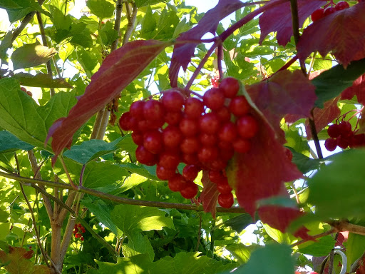 Park «Juanita Beach Park», reviews and photos, 9703 NE Juanita Dr, Kirkland, WA 98034, USA