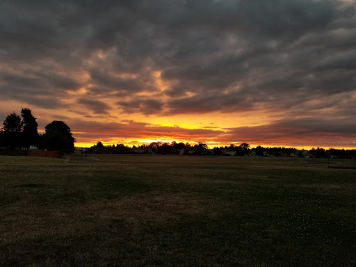 Park «Reedville Creek Park», reviews and photos, 7500 SE Frances St, Hillsboro, OR 97123, USA