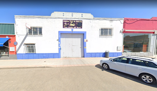 Limpieza Total De Vehículos Ana Belén Gil Bote en Almendralejo, Badajoz