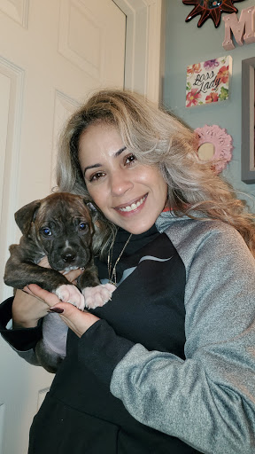 Pet Supply Store «PetSmart», reviews and photos, 70 Worcester-Providence Turnpike #240, Millbury, MA 01527, USA