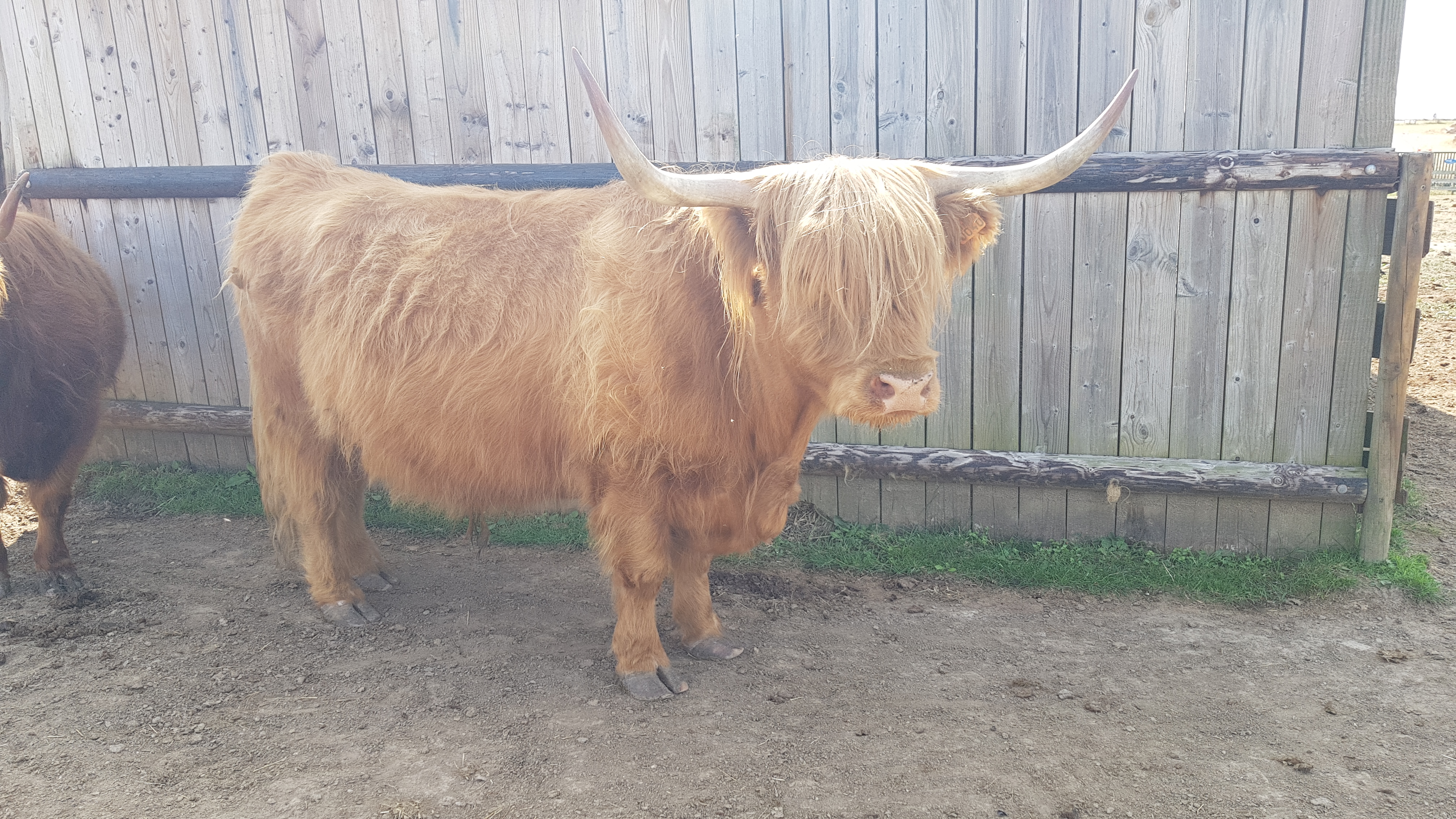 Photo n° 2 de l'avis de Fanny.e fait le 02/09/2018 à 06:44
