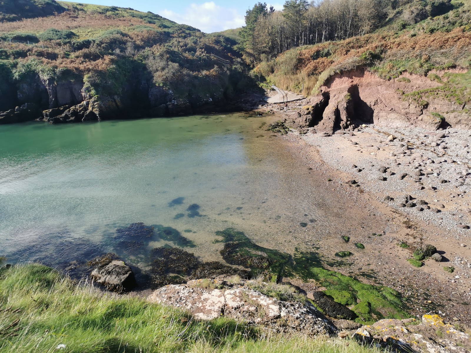 Photo de Portally Cove Beach zone sauvage