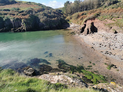 Photo de Portally Cove Beach zone sauvage