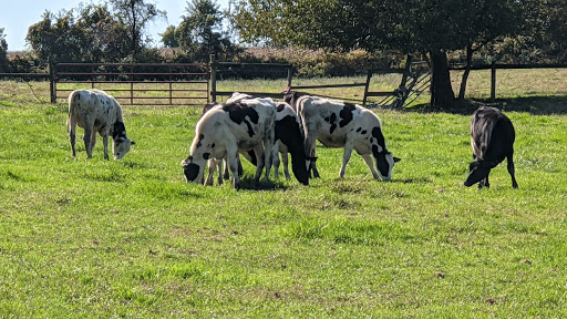 Dairy Farm «Milky Way Farm», reviews and photos, 521 E Uwchlan Ave, Chester Springs, PA 19425, USA