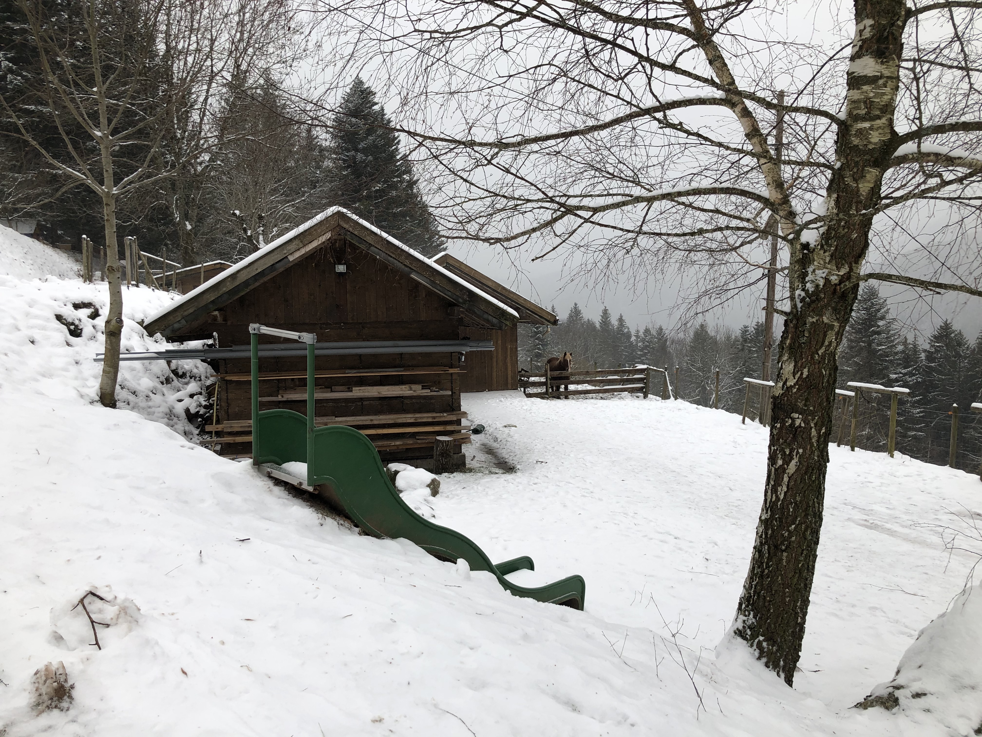 Photo n° 5 de l'avis de Karim.h fait le 29/12/2020 à 21:33