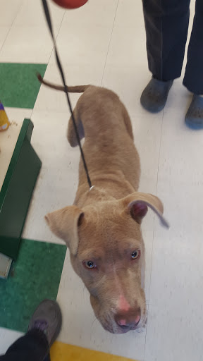 Pet Supply Store «Pet Supplies Plus», reviews and photos, 228 Gadsden Hwy, Birmingham, AL 35235, USA