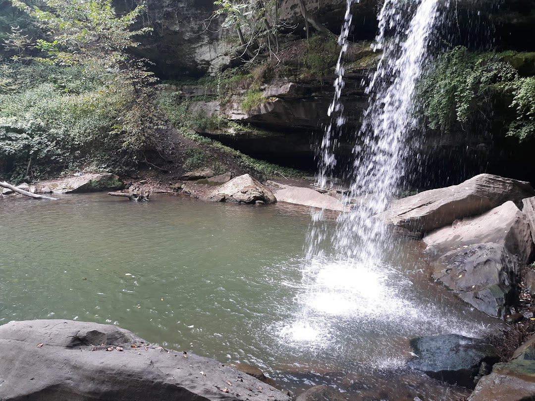 Buttermilk Falls Natural Area