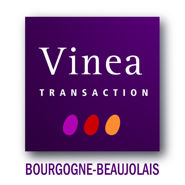 Vinea Transaction Bourgogne Beaujolais CIMEX à Belleville (Rhône 69)