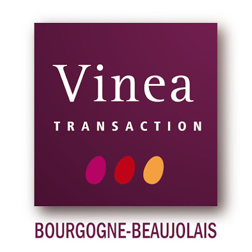 Agence immobilière Vinea Transaction Bourgogne Beaujolais CIMEX Belleville