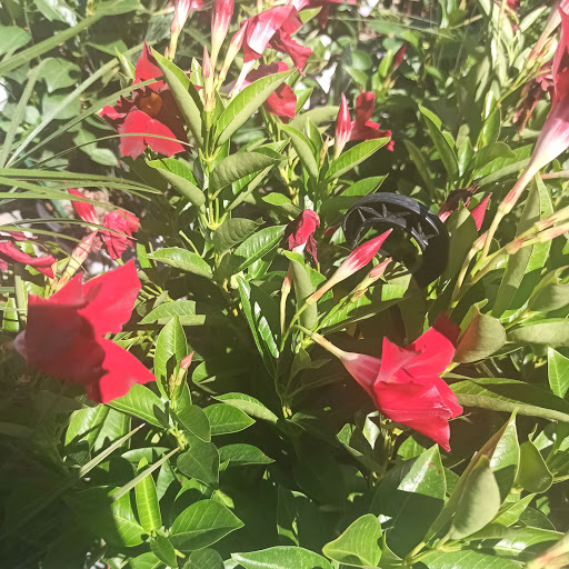 Home Improvement Store «The Home Depot», reviews and photos, 390 West St, Mansfield, MA 02048, USA