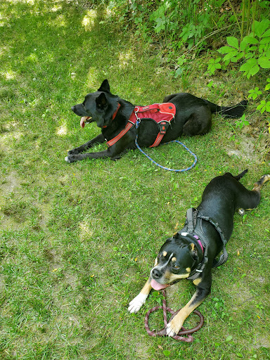 Park «Sodalis Nature Park», reviews and photos, 7700 S County Rd 975 E, Plainfield, IN 46168, USA