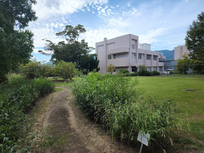 奈良文化高等学校