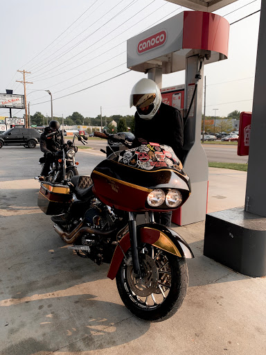 Explore blue jay tattoo ideas, creative tattoo ideas in Springfield, available at Triumph Tattoo