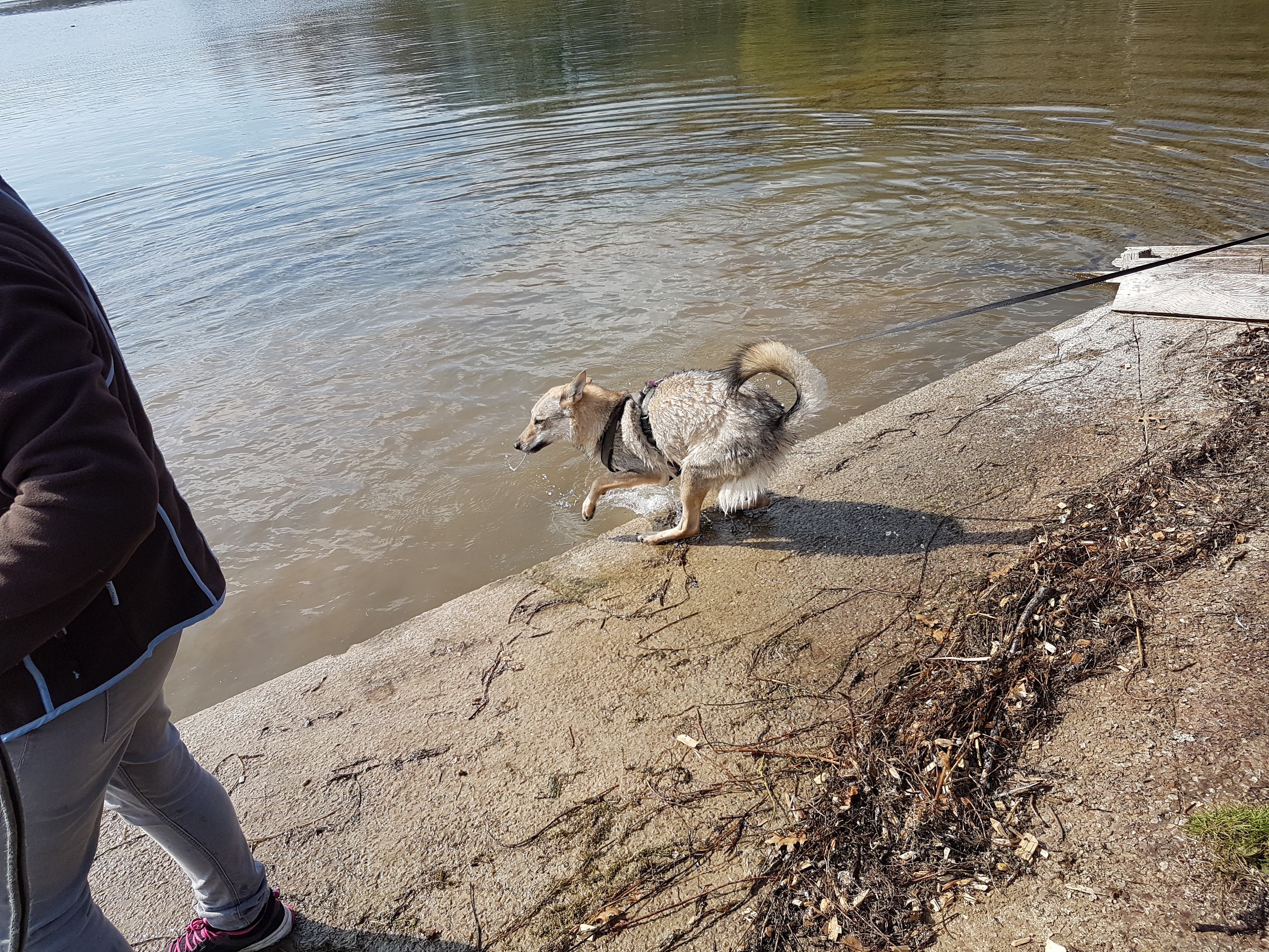 Photo n° 3 de l'avis de Elodie.e fait le 28/03/2019 à 11:49