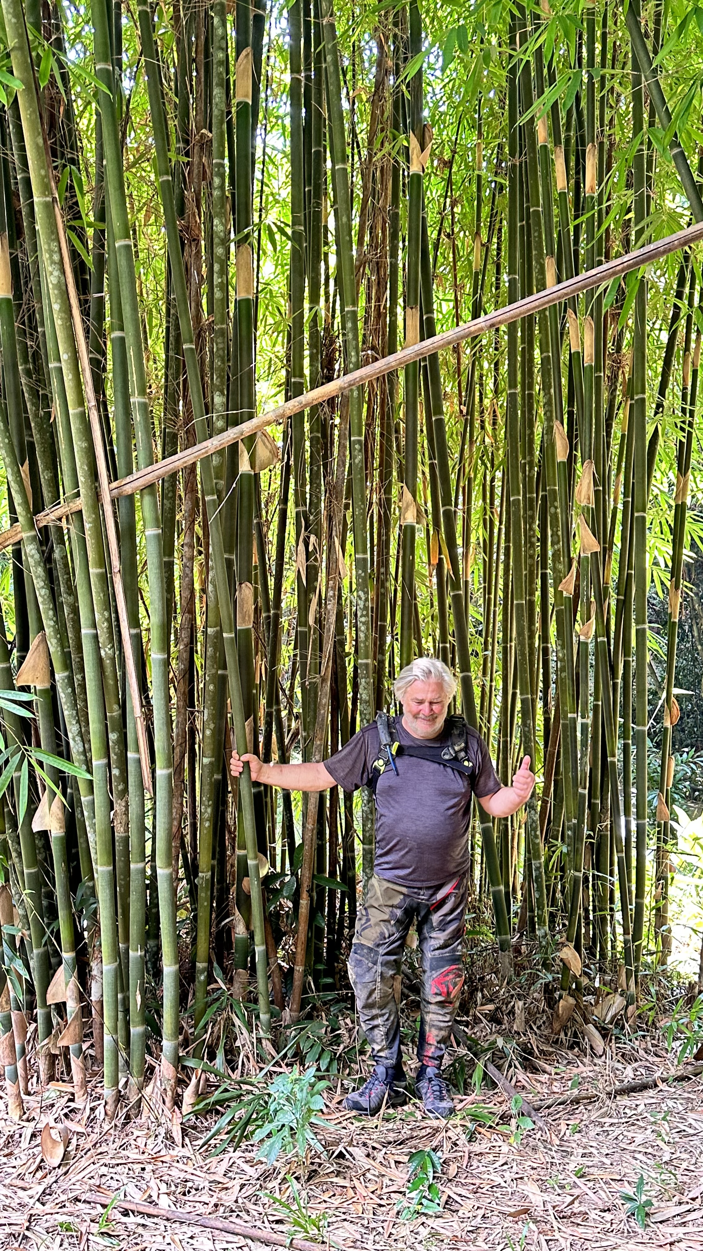 Photo n° 5 de l'avis de Thierry.Z fait le 15/11/2023 à 02:46