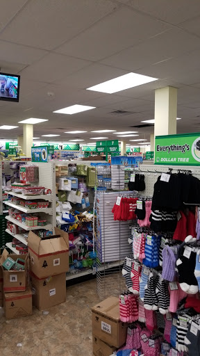 Dollar Store «Dollar Tree», reviews and photos, 172 Mountainview Blvd, Wayne, NJ 07470, USA