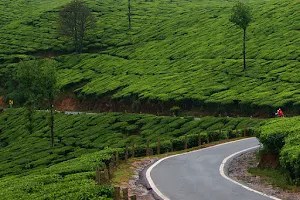 Kerala Tourism Information image