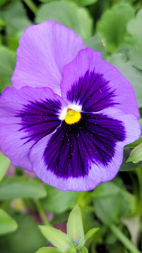 Home Improvement Store «The Home Depot», reviews and photos, 2330 Crest View Dr, Hudson, WI 54016, USA