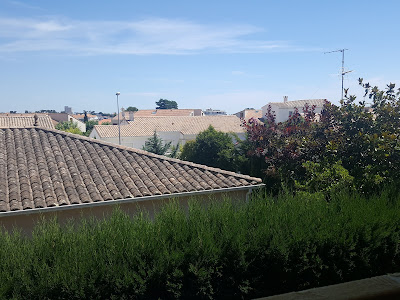 VAUX-SUR-MER - Pluviers à Vaux-sur-Mer