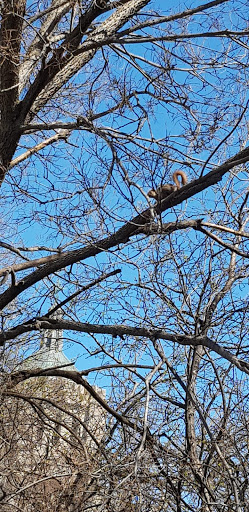 Park «Welles Park», reviews and photos, 2333 W Sunnyside Ave, Chicago, IL 60625, USA