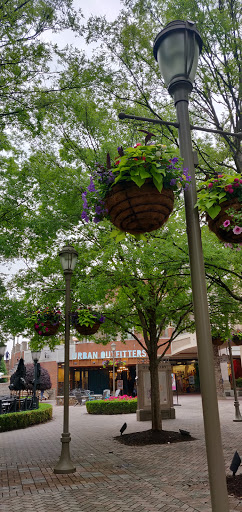 Restaurant «The Cheesecake Factory», reviews and photos, 11800 W Broad St, Richmond, VA 23233, USA