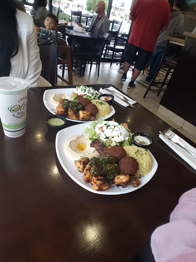 The Original Green Olive image