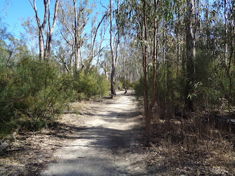 Koondrook State Forest