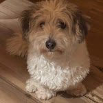 Photo n°8 de l'avis de Patrik.e fait le 27/08/2022 à 20:18 sur le  Hotel Spitalerhof à Klausen