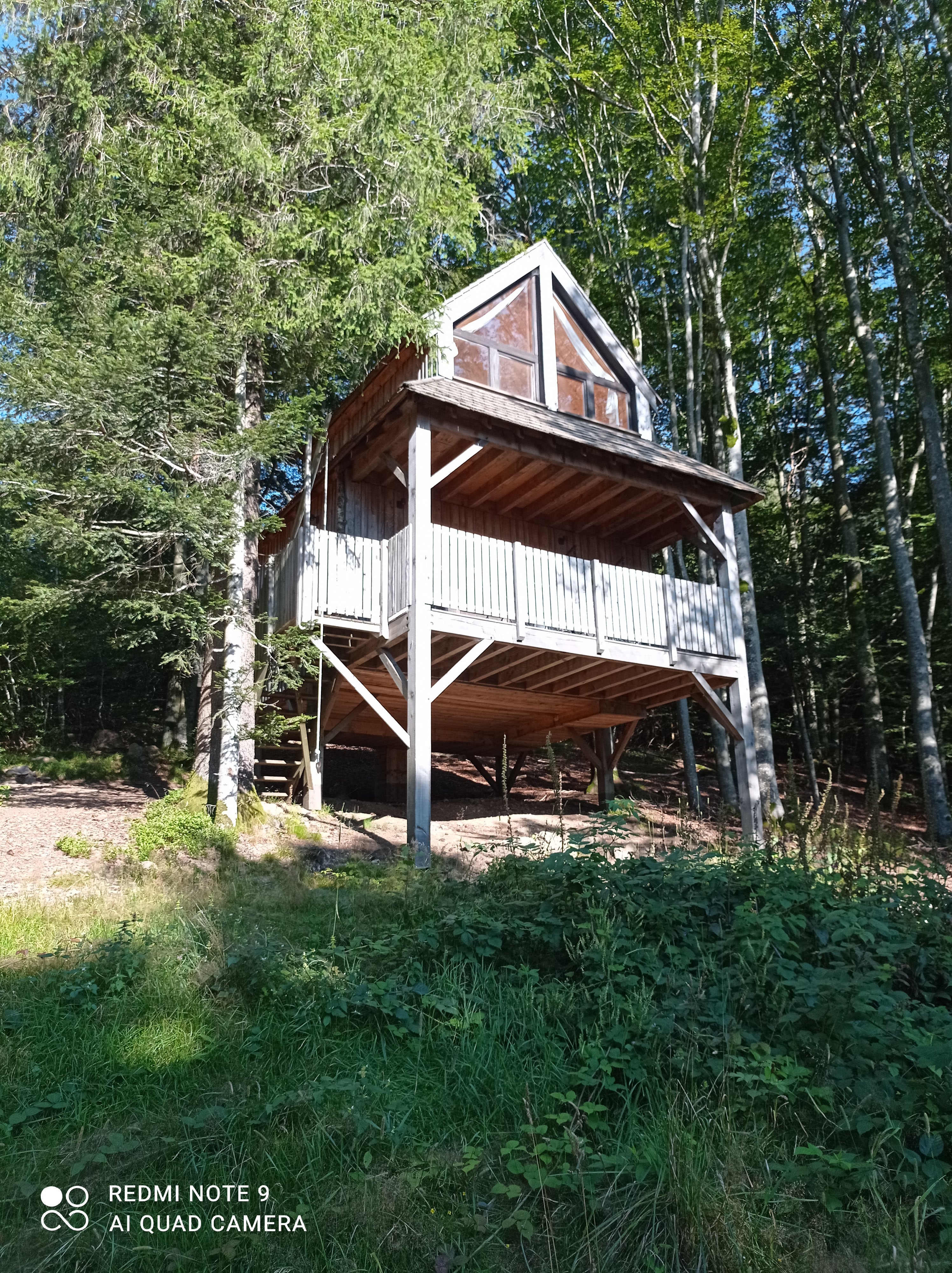 Photo n° 13 de l'avis de LUCA.E fait le 02/09/2021 à 06:57